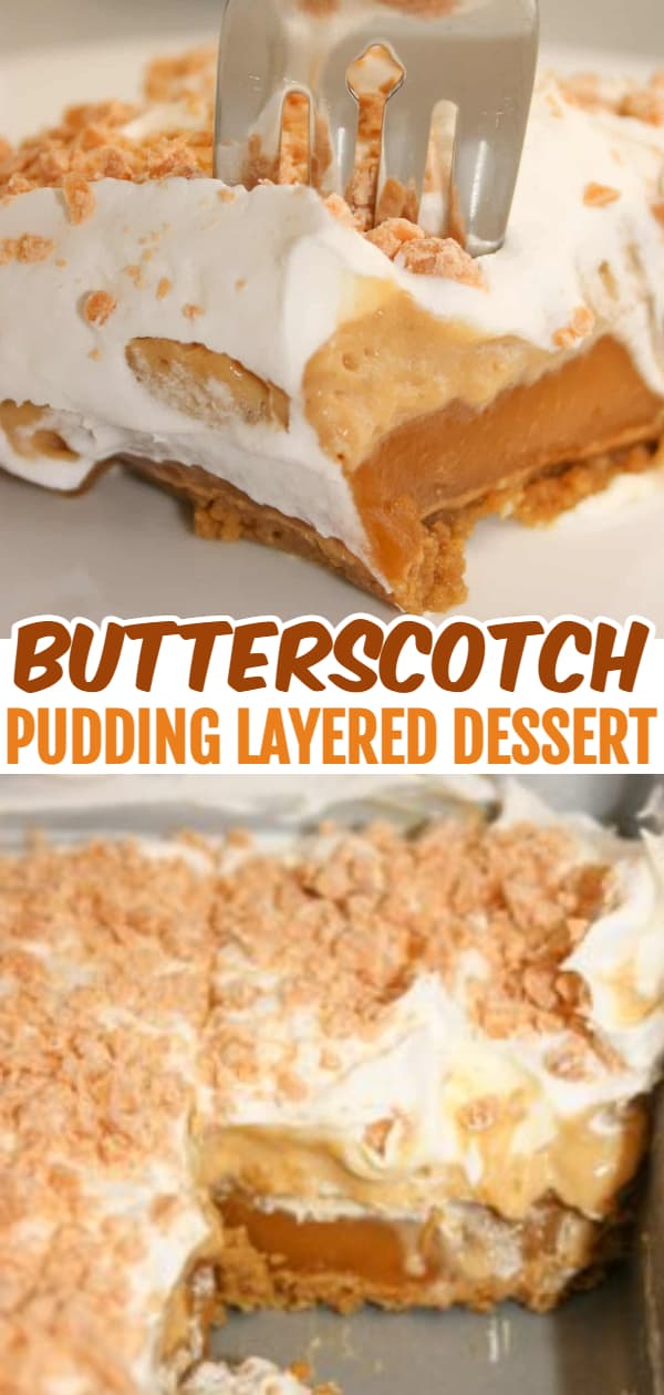 If you are looking for a nice, light treat to serve after a meal, this Layered Butterscotch Pudding Dessert is the perfect choice.