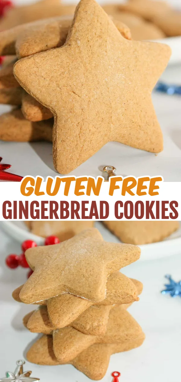 'Tis the season for gingerbread and this Gluten Free Gingerbread recipe does not disappoint.