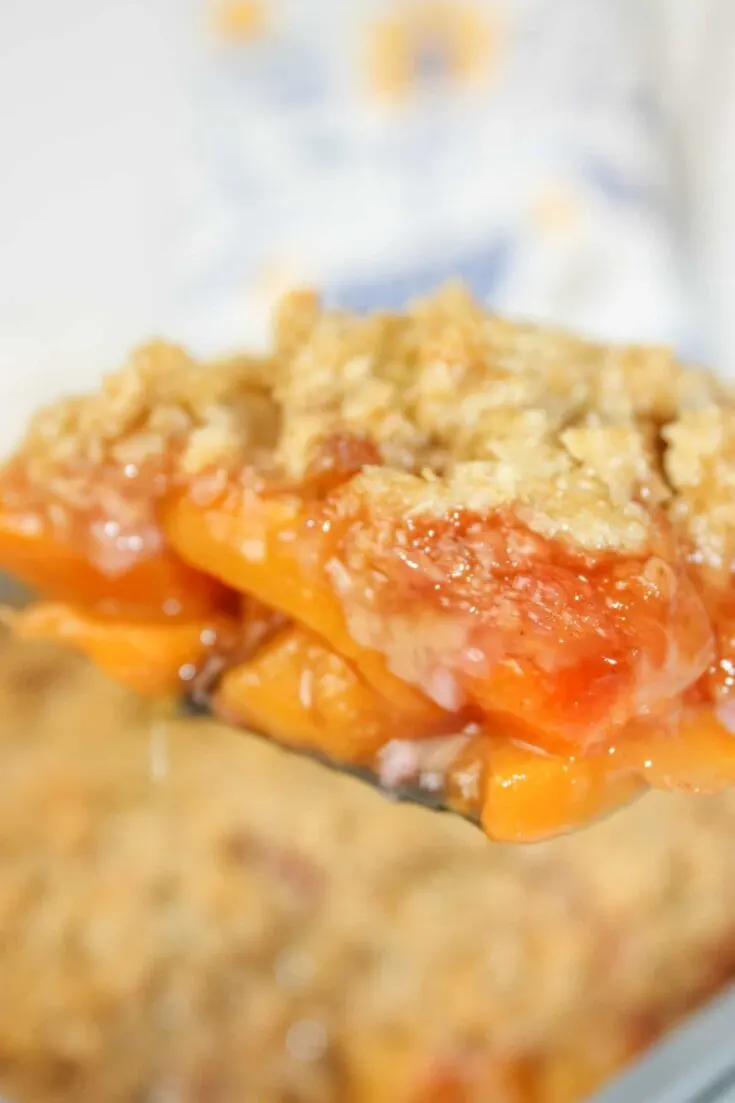 Gluten Free Peach Crisp is a tasty and very easy dessert recipe.  This seasonal fruit is in abundance right now and whipping up a delicious crisp is a great way to use up some ripe peaches.