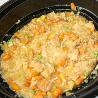 Crock Pot Teriyaki Chicken and Rice is an easy slow cooker recipe for any time of the year.  This one pot dinner is a complete meal for any day of the week.