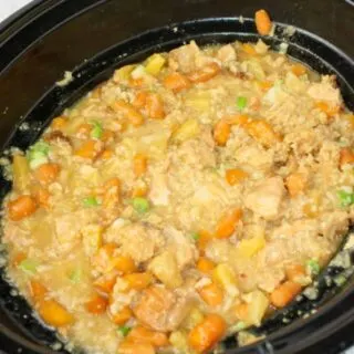 Crock Pot Teriyaki Chicken and Rice is an easy slow cooker recipe for any time of the year.  This one pot dinner is a complete meal for any day of the week.