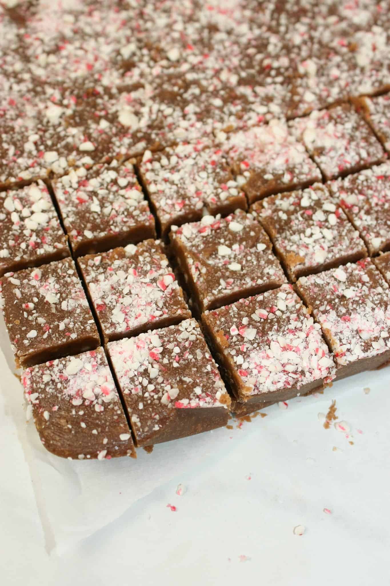 Melt in your mouth Chocolate Peppermint Fudge is hard to resist! This easy to create chocolate treat is a morsel of deliciousness that makes it hard to eat just one!!