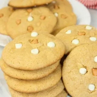 Blondie Cookies are a&nbsp;tasty&nbsp;treat. &nbsp;These chewy cookies are loaded with &nbsp;butterscotch chips and white chocolate chips. &nbsp;They make a great chewy, flavourful snack.