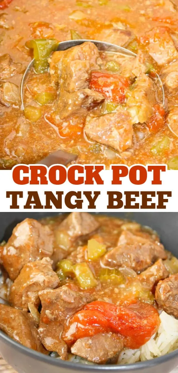 Crock Pot Tangy Beef is a tasty slow cooker recipe.  Chunks of stewing beef and vegetables smothered in a tangy sauce make this a delicious choice on those cool evenings any time of the year.