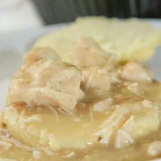 Crock Pot Sloppy Chicken is a tasty slow cooker recipe.  Canned, boneless chicken and gluten free soups make this a quick choice for a week night dinner. 