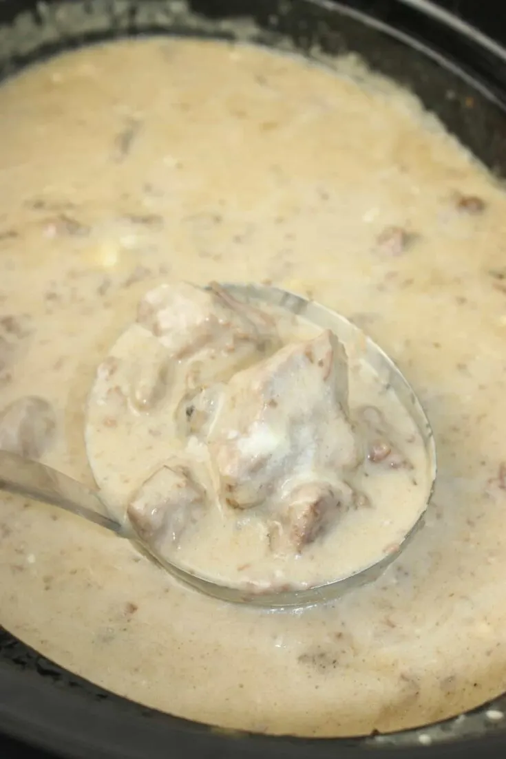 Easy Crock Pot Beef Stroganoff is a simple yet hearty dish that combines classic flavors in a melt-in-your-mouth texture, ideal for a cozy meal.