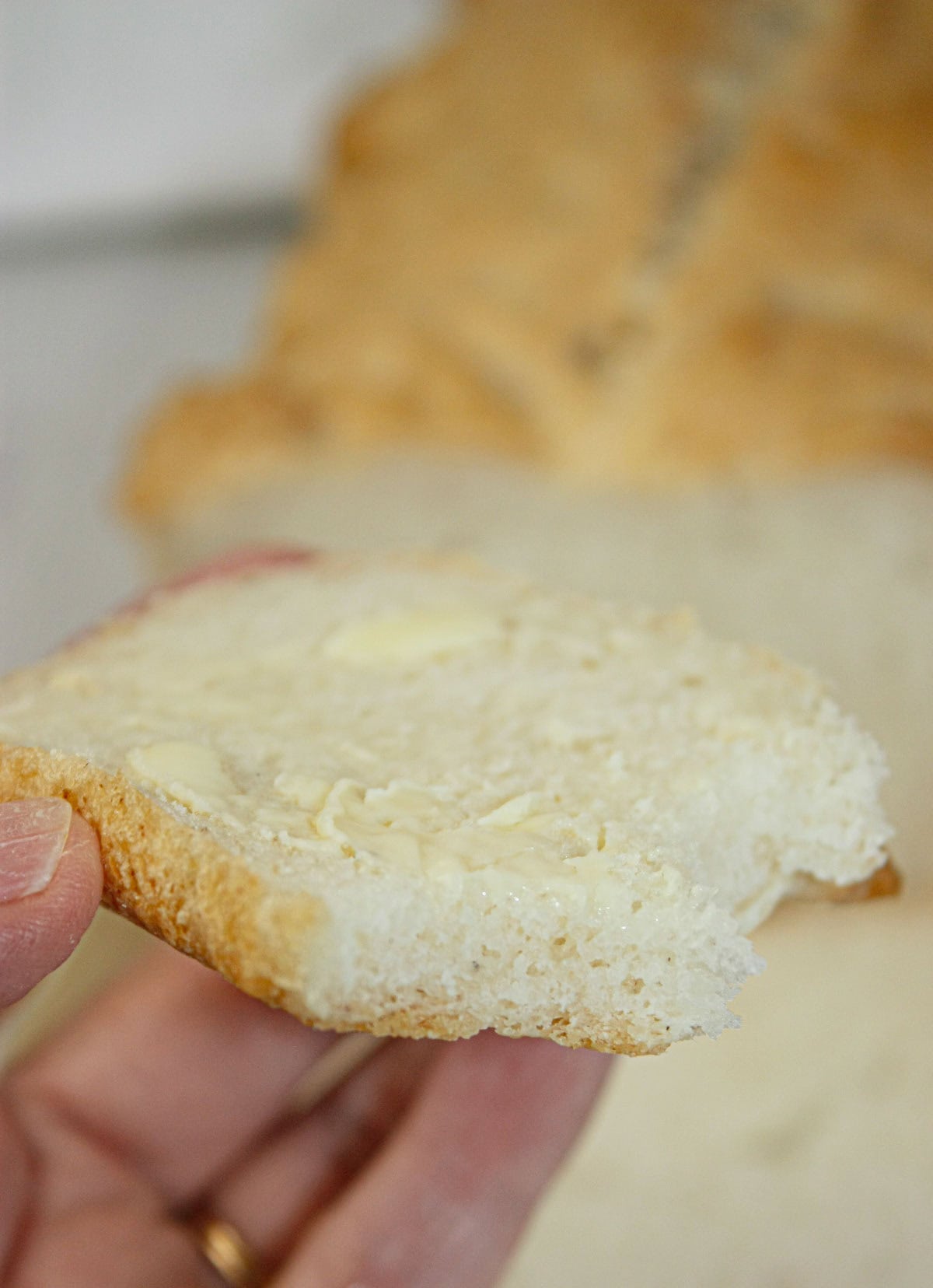 Single Rise Gluten Free Bread made with quick-rising yeast combines the convenience of a fast rise with the structure and flavor of a yeasted loaf.