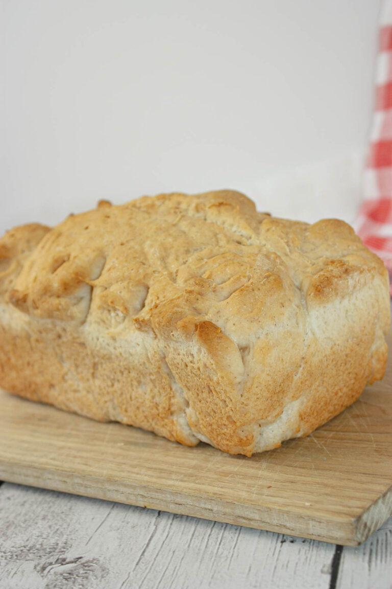 Single Rise Gluten Free Bread - Kiss Gluten Goodbye