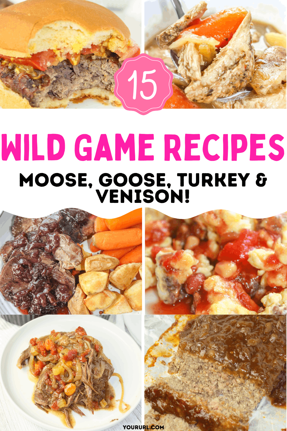 15 Wild Game Recipes, moose, goose, turkey, venison, cooking instruction for preparing your harvest, best wild game recipes, from burgers and stews to roasts and weeknight meals&mdash;that prove wild game can be easy, delicious, and family-friendly. You&rsquo;ll love this roundup if you like versatile wild game dinners that hit the dinner table no matter the season.